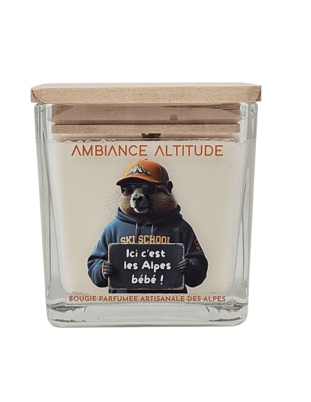 Bougie ambiance Altitude ICI C'EST LES ALPES BEBE 220g
