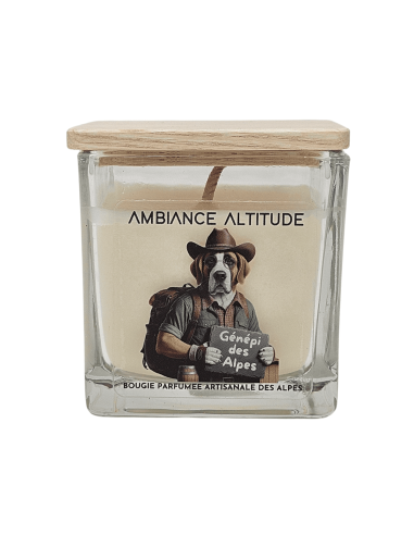 Bougie ambiance altitude GENEPIE DES ALPES 90g