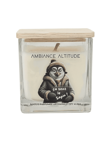 Bougie ambiance altitude ÇA SENT LE SAPIN 90g