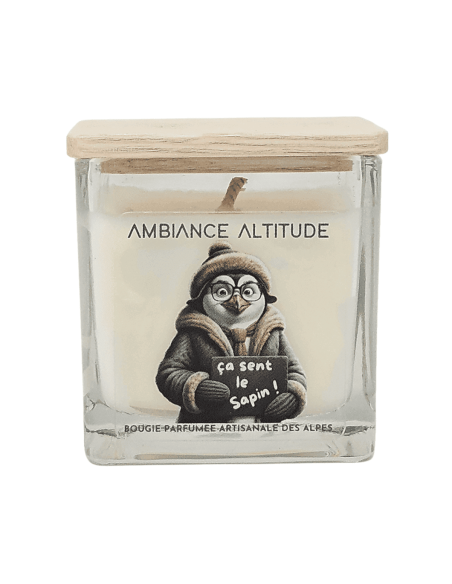 Bougie ambiance altitude ÇA SENT LE SAPIN 90g