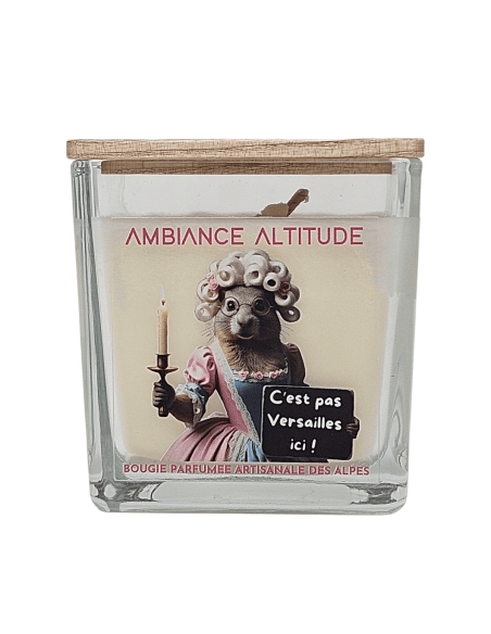 Bougie ambiance altitude C'EST PAS VERSAILLE ICI 220g