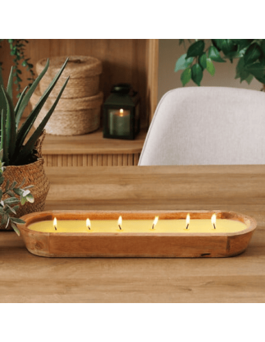 Bougie PAOLA citronnelle 900g