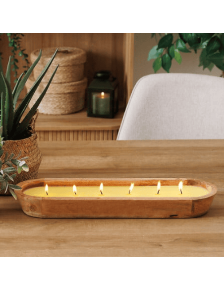 Bougie PAOLA citronnelle 900g