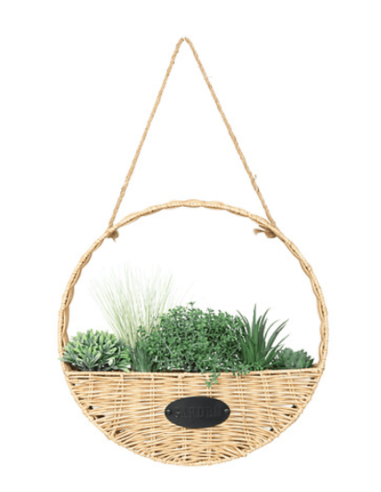 Plante à suspendre CALA