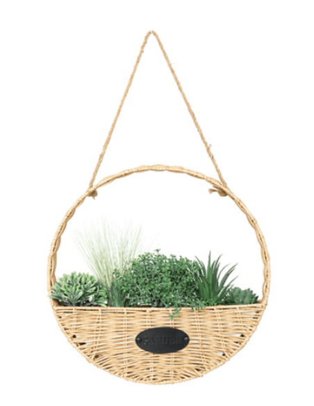 Plante à suspendre CALA