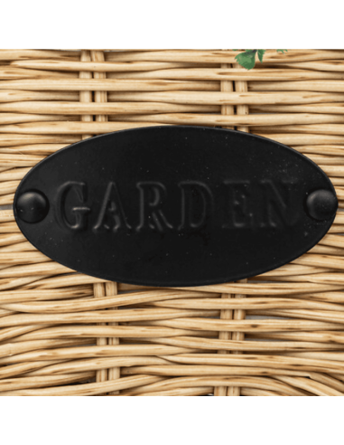 Plante à suspendre CALA