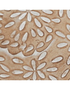 POULE décoratif LINDA 2