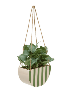 Plante suspendue CHERI avec pot en céramique vert