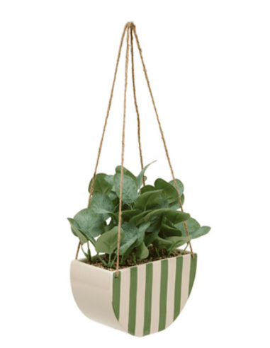 Plante suspendue CHERI avec pot en céramique vert
