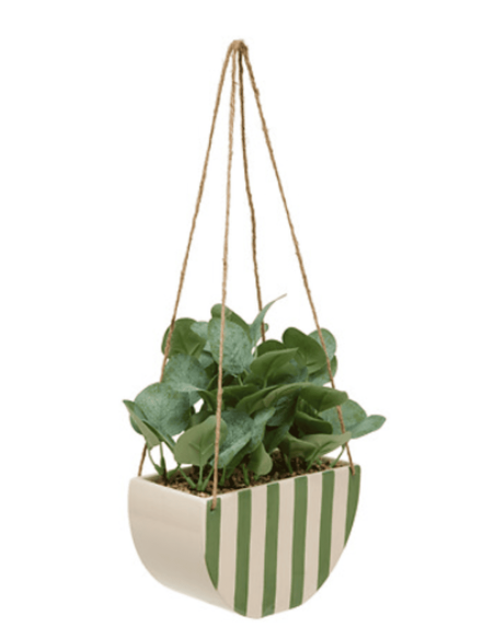Plante suspendue CHERI avec pot en céramique vert