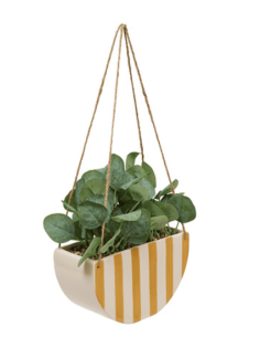 Plante suspendue CHERIE avec son pot en céramique jaune