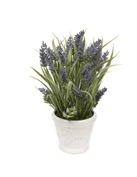 Composition lavande Provence haut 35 cm