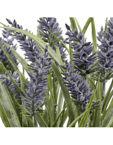 Composition lavande Provence haut 35 cm