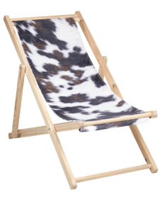 Chilienne pelage brun esprit montagne