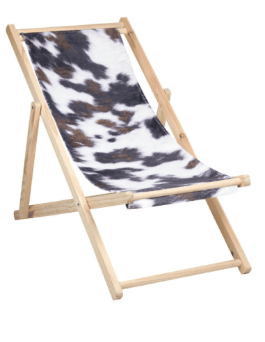 Chilienne pelage brun esprit montagne