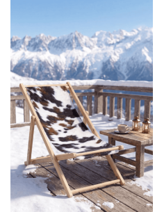 Chilienne pelage brun esprit montagne 2