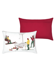 COUSSIN AVEILLANS MULTICOLORE 40X60 cm