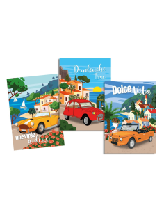 Torchons DEUDEUCHE MULTICOLORE 50 x 70 cm lot de 3