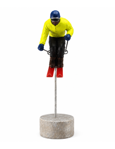 Statut skieur jaune - Esprit Montagne
