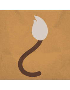 Bac de rangement LION 2