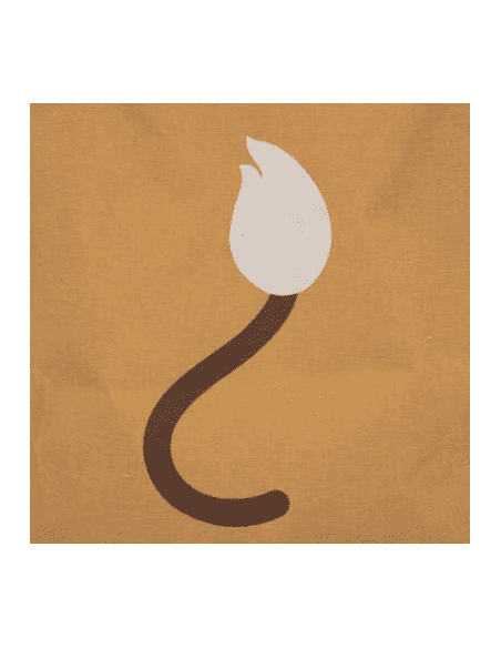 Bac de rangement LION