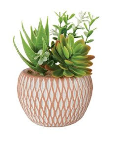 Plante grasse artificielle