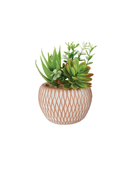 Plante grasse artificielle