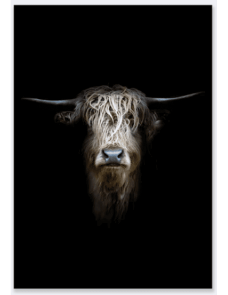 Tableau Hightland en velours 80 x 120 cm