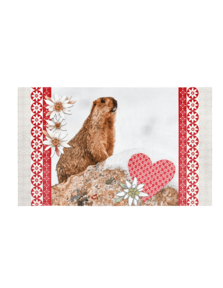 copy of Tapis BERNEX télécabine 45 x 75 cm