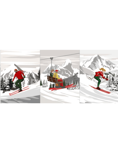 Torchons SKI 50 x 70 cm lot de 3