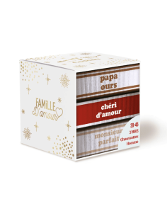 Coffret trio chaussettes PAPA OURS