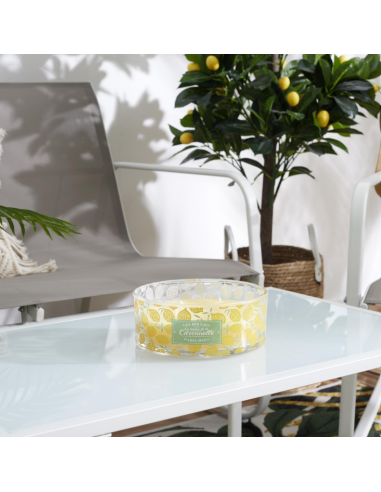 BOUGIE parfumée citronnelle 4 mèches D19cm