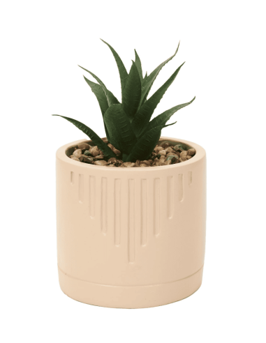 Plante grasse artificielle avec pot beige