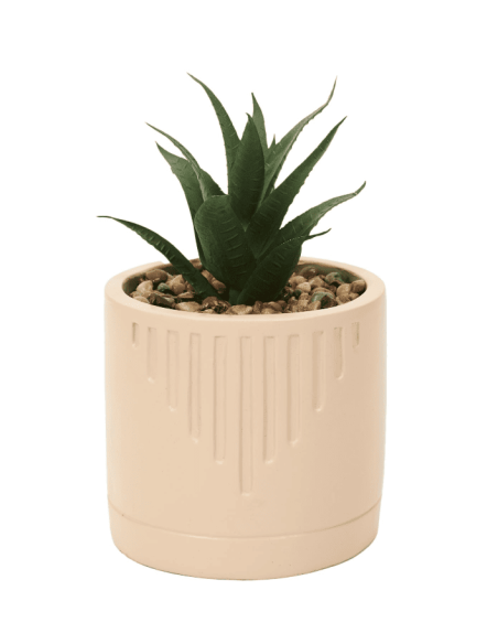 Plante grasse artificielle avec pot beige