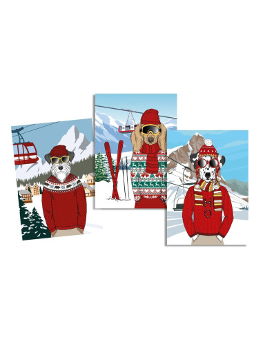 Torchons ANISKI lot de 3