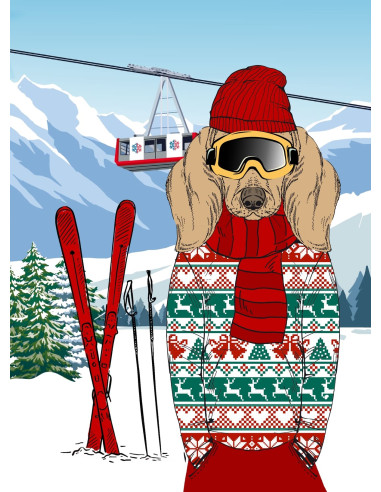 Torchons ANISKI lot de 3