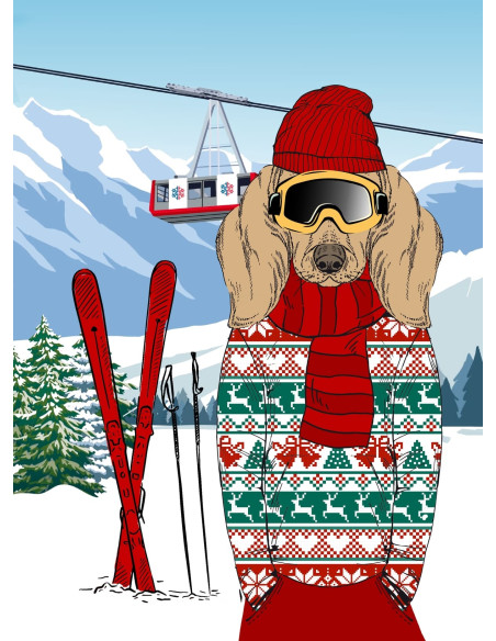 Torchons ANISKI lot de 3