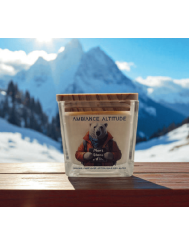 Bougie ambiance altitude MONT BLANC 90g
