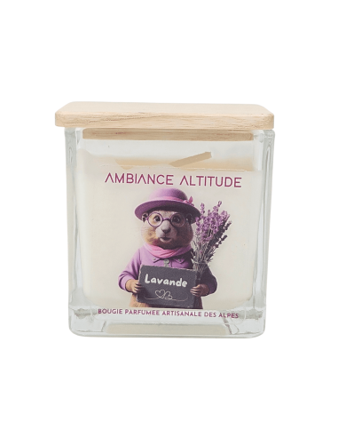 Bougie ambiance altitude LAVANDE 90g